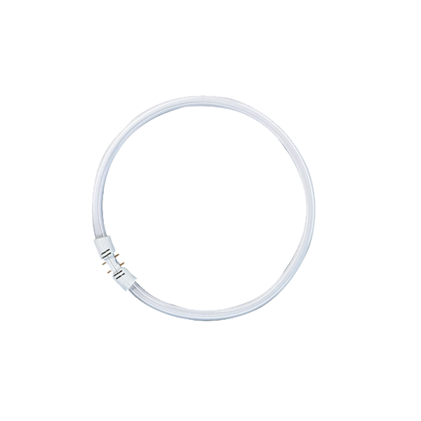 FC2022-55W20202GX13.png
